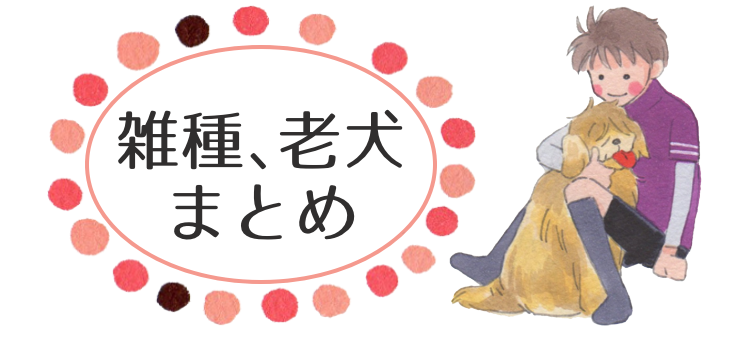 雑種、老犬の良さも知ってほしい！